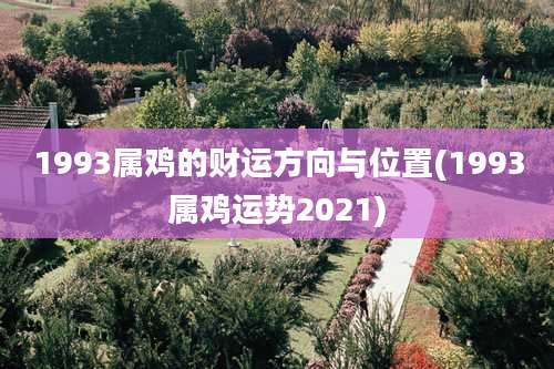 1993属鸡的财运方向与位置(1993属鸡运势2021)
