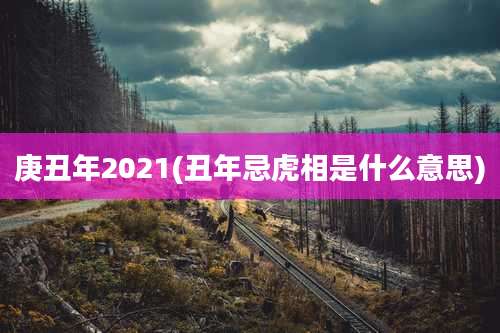 庚丑年2021(丑年忌虎相是什么意思)