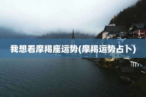 我想看摩羯座运势(摩羯运势占卜)