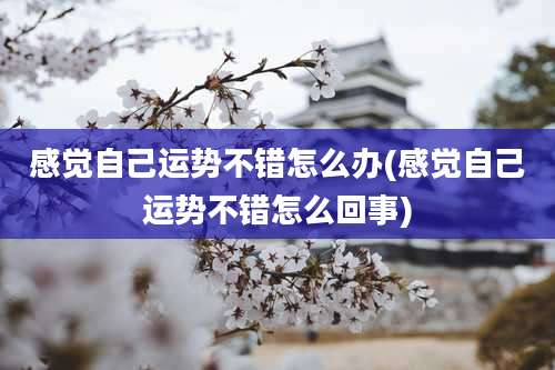 感觉自己运势不错怎么办(感觉自己运势不错怎么回事)