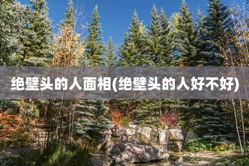 绝壁头的人面相(绝壁头的人好不好)