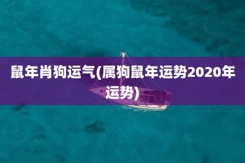 鼠年肖狗运气(属狗鼠年运势2020年运势)