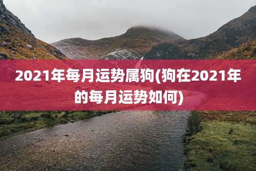 2021年每月运势属狗(狗在2021年的每月运势如何)