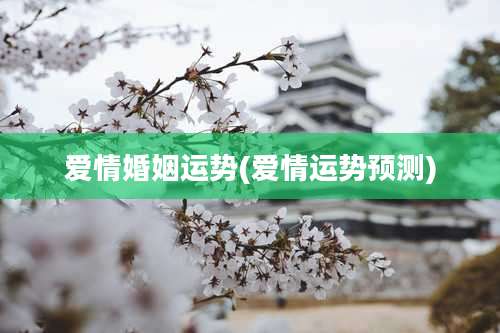 爱情婚姻运势(爱情运势预测)