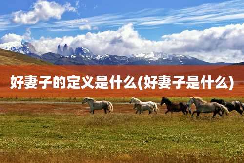 好妻子的定义是什么(好妻子是什么)
