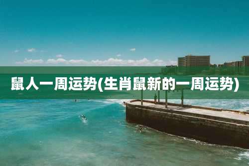 鼠人一周运势(生肖鼠新的一周运势)