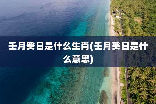 壬月癸日是什么生肖(壬月癸日是什么意思)