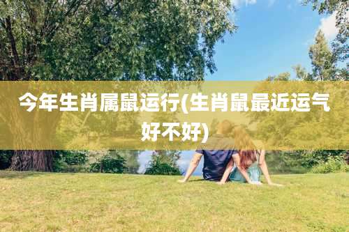 今年生肖属鼠运行(生肖鼠最近运气好不好)