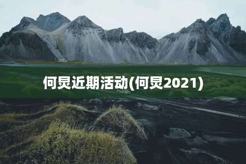何炅近期活动(何炅2021)