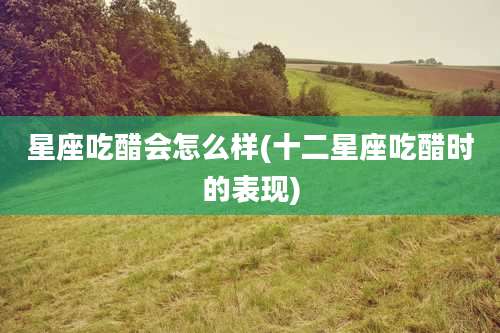 星座吃醋会怎么样(十二星座吃醋时的表现)