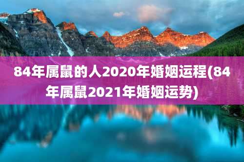 84年属鼠的人2020年婚姻运程(84年属鼠2021年婚姻运势)