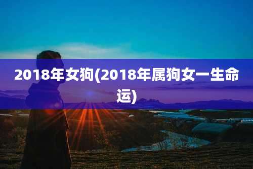 2018年女狗(2018年属狗女一生命运)