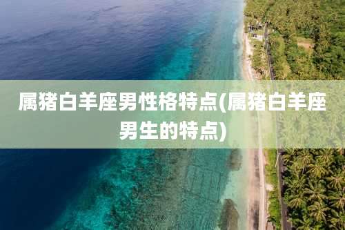 属猪白羊座男性格特点(属猪白羊座男生的特点)