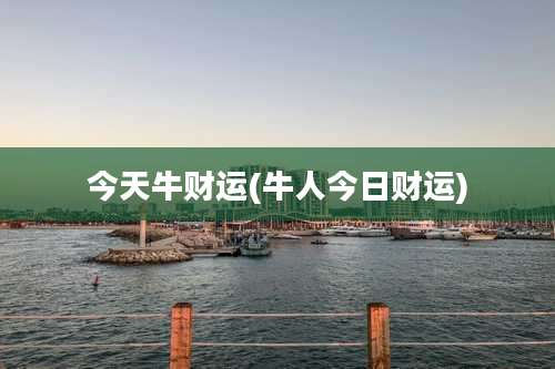 今天牛财运(牛人今日财运)