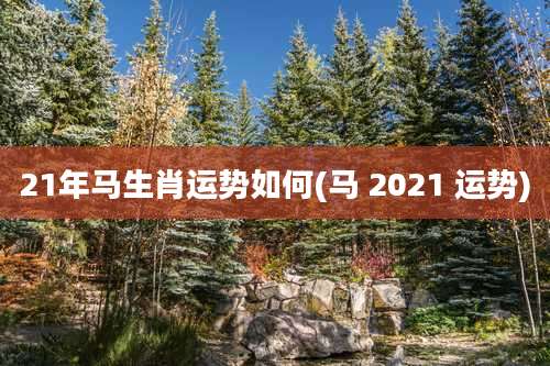 21年马生肖运势如何(马 2021 运势)