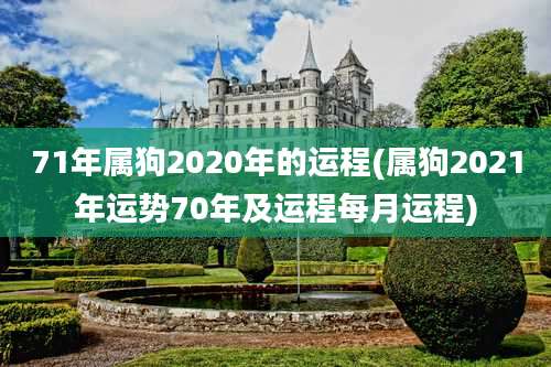 71年属狗2020年的运程(属狗2021年运势70年及运程每月运程)