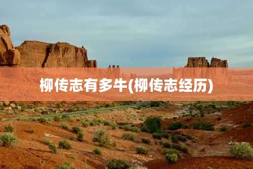 柳传志有多牛(柳传志经历)