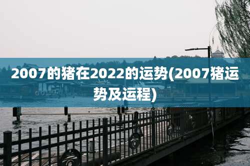 2007的猪在2022的运势(2007猪运势及运程)