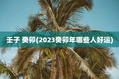 壬子 癸卯(2023癸卯年哪些人好运)