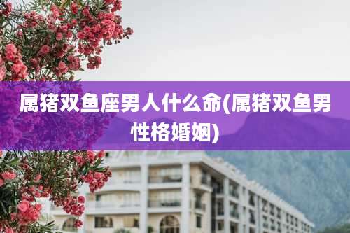 属猪双鱼座男人什么命(属猪双鱼男性格婚姻)