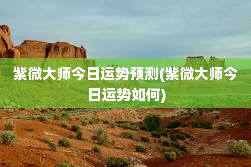 紫微大师今日运势预测(紫微大师今日运势如何)