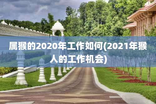 属猴的2020年工作如何(2021年猴人的工作机会)