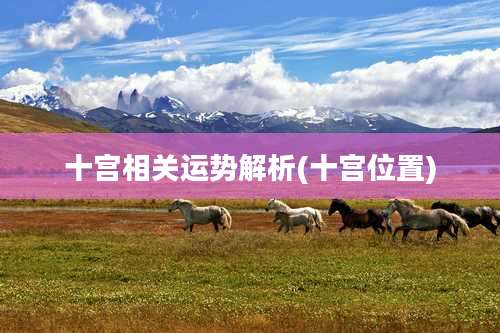 十宫相关运势解析(十宫位置)