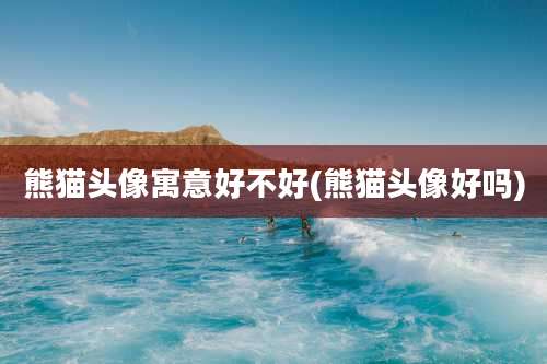 熊猫头像寓意好不好(熊猫头像好吗)