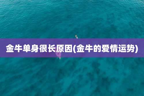金牛单身很长原因(金牛的爱情运势)