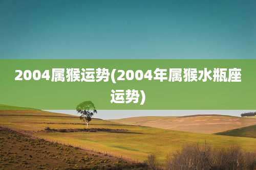 2004属猴运势(2004年属猴水瓶座运势)