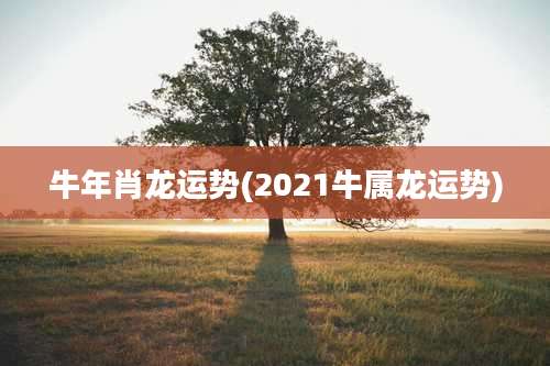 牛年肖龙运势(2021牛属龙运势)