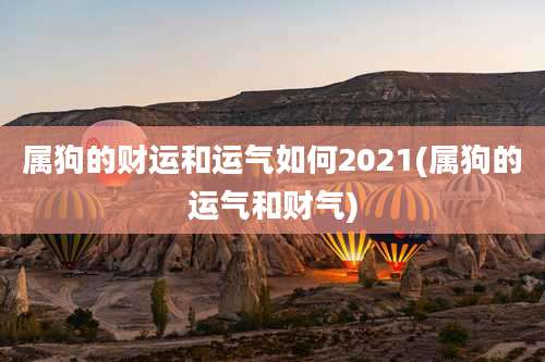 属狗的财运和运气如何2021(属狗的运气和财气)