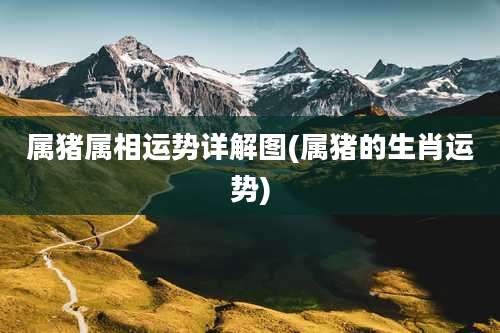 属猪属相运势详解图(属猪的生肖运势)