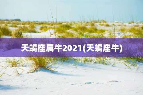 天蝎座属牛2021(天蝎座牛)