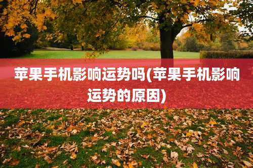 苹果手机影响运势吗(苹果手机影响运势的原因)