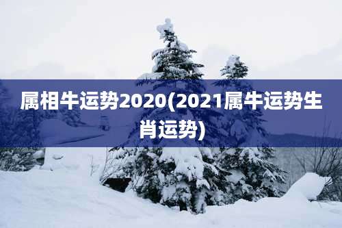 属相牛运势2020(2021属牛运势生肖运势)