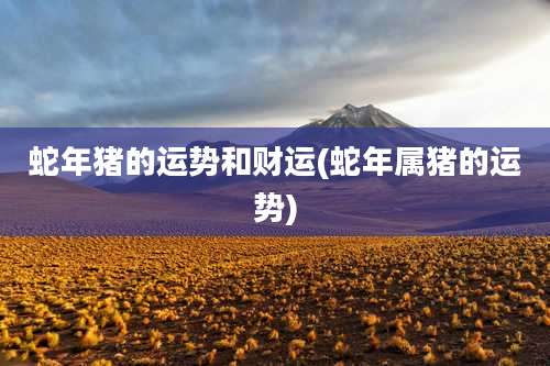 蛇年猪的运势和财运(蛇年属猪的运势)
