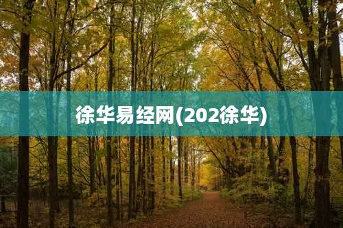 徐华易经网(202徐华)