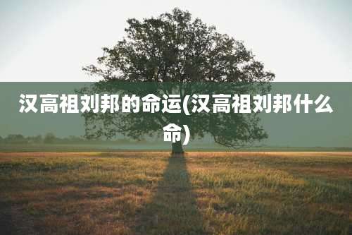 汉高祖刘邦的命运(汉高祖刘邦什么命)