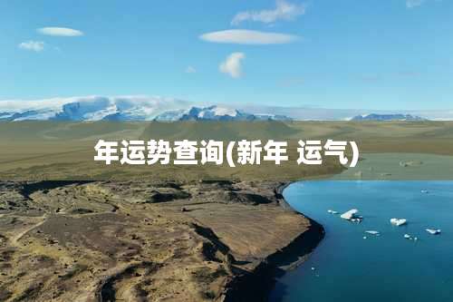 年运势查询(新年 运气)