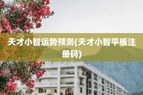 天才小智运势预测(天才小智平板注册码)