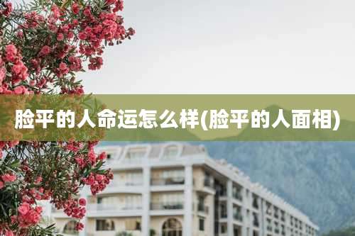 脸平的人命运怎么样(脸平的人面相)