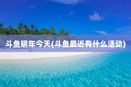 斗鱼明年今天(斗鱼最近有什么活动)