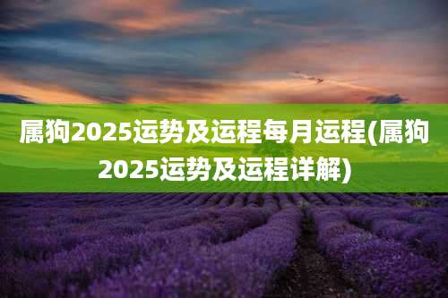 属狗2025运势及运程每月运程(属狗2025运势及运程详解)