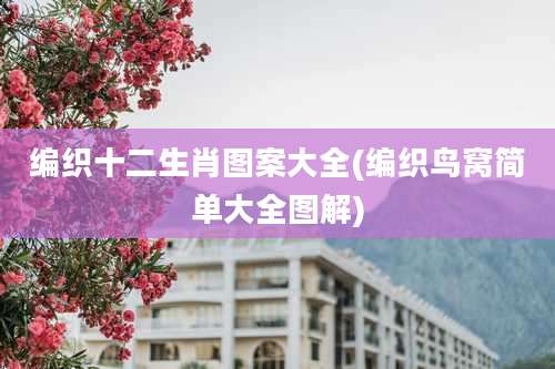编织十二生肖图案大全(编织鸟窝简单大全图解)