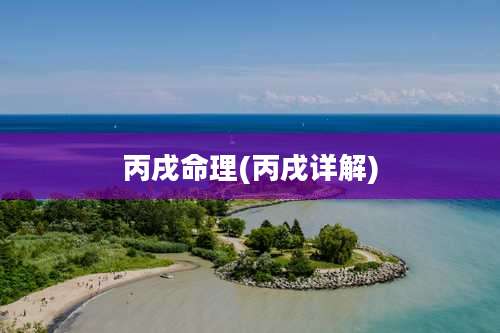 丙戌命理(丙戌详解)