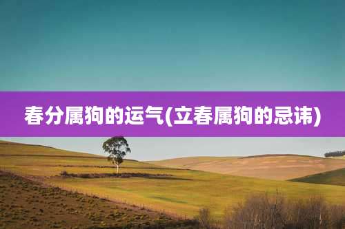 春分属狗的运气(立春属狗的忌讳)