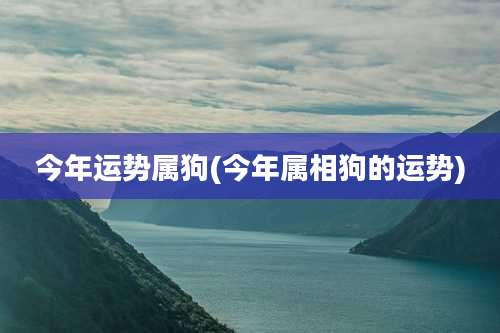 今年运势属狗(今年属相狗的运势)
