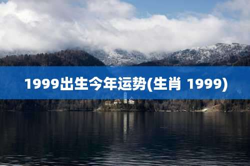 1999出生今年运势(生肖 1999)