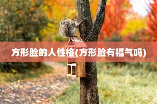 方形脸的人性格(方形脸有福气吗)